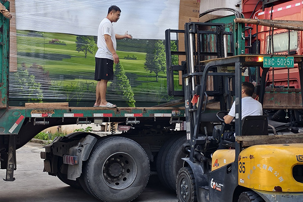 State Grid Henan 2025 Projekt abgeschlossen